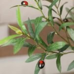 Artificial Olive Tree 8 ft (240 cm) Indoor with Round Planter, Bendable Branches, Hand-Painted Trunk, Green - Image 5