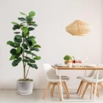 Artificial Fiddle Leaf Fig Tree, 180 cm, with White Pot & Pebbles, Bendable Branches, Realistic Ficus Lyrata for Indoor Decor - Image 4