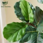Artificial Fiddle Leaf Fig Tree, 180 cm, with White Pot & Pebbles, Bendable Branches, Realistic Ficus Lyrata for Indoor Decor - Image 5