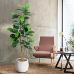 Artificial Fiddle Leaf Fig Tree, 180 cm, with White Pot & Pebbles, Bendable Branches, Realistic Ficus Lyrata for Indoor Decor - Image 3